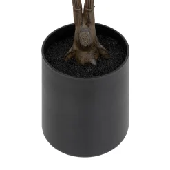 Agnolia artificielle