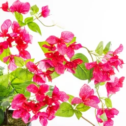 Bougainvillier artificiel