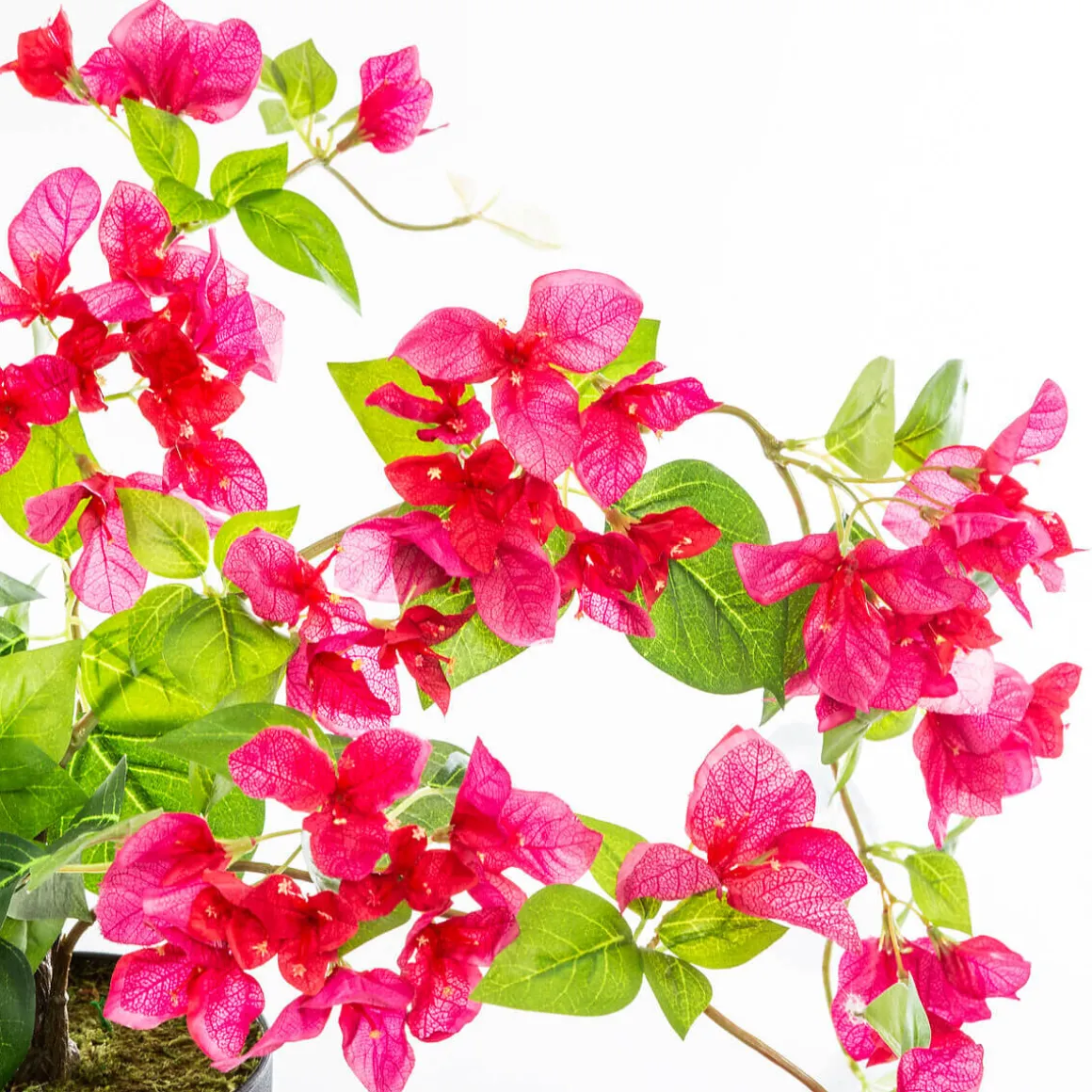 Bougainvillier artificiel