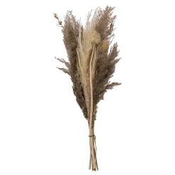 Bouquet de pampas séchées "Ori"