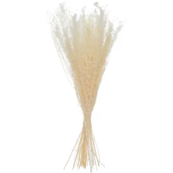 Bouquet de plantes séchées