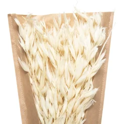 Bouquet fleurs séchées