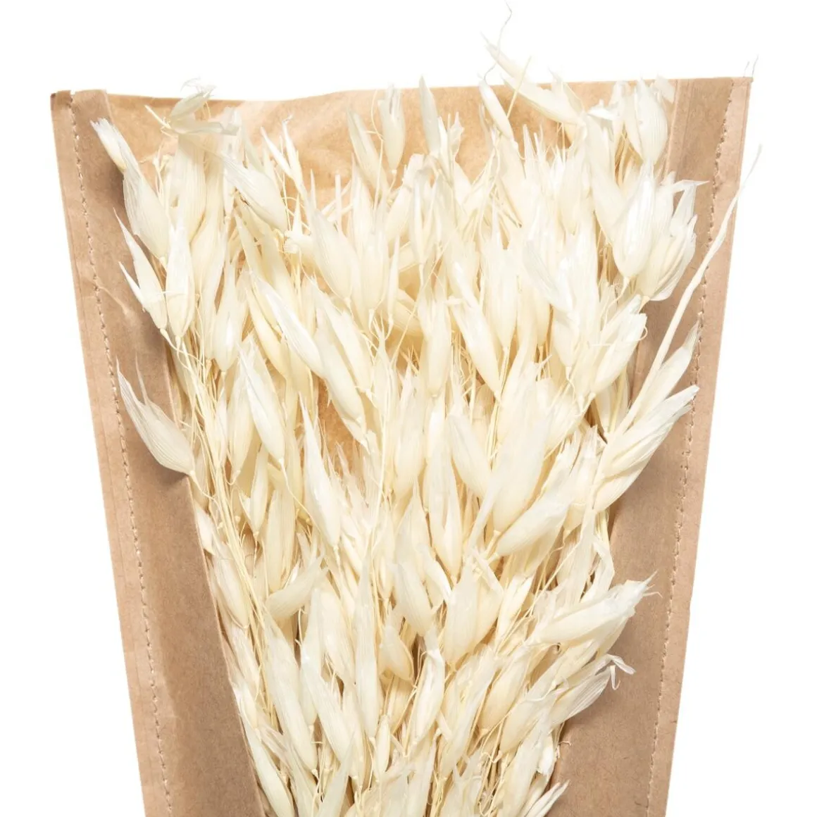 Bouquet fleurs séchées