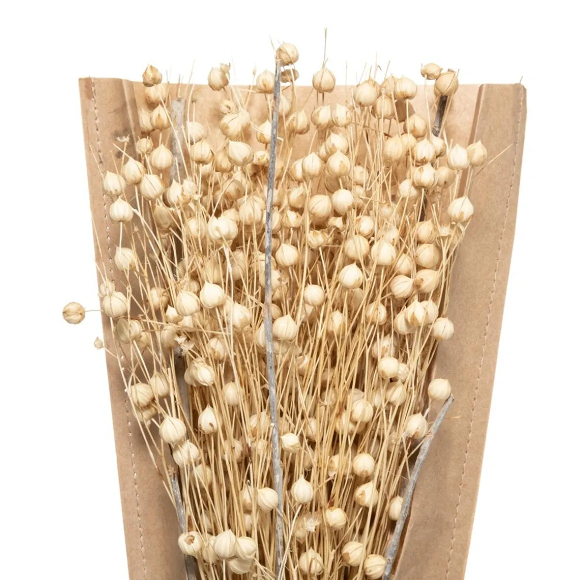 Bouquet fleurs séchées