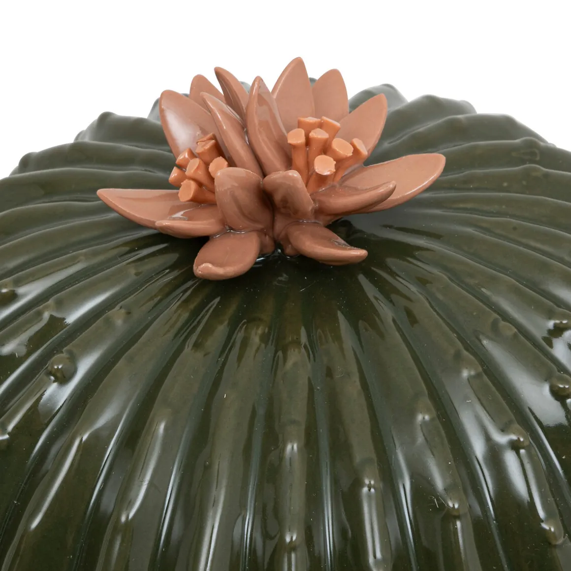 Cactus déco, céramique