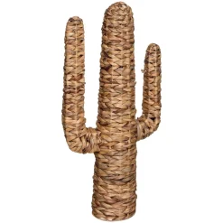 Cactus "Hacienda"