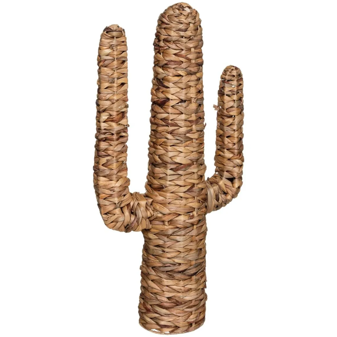 Cactus "Hacienda"