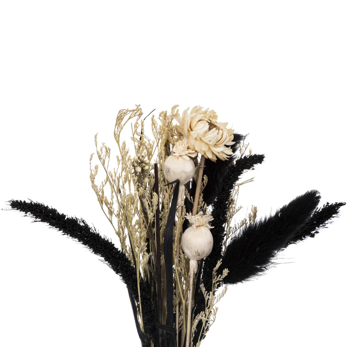 Composition de fleurs séchées "Subli" avec vase