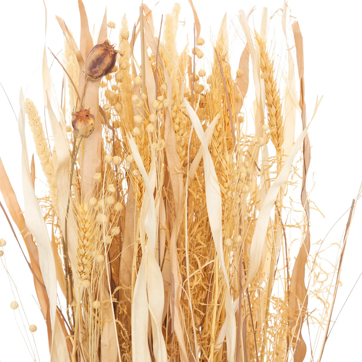 Fagot naturel "Lourmarin"