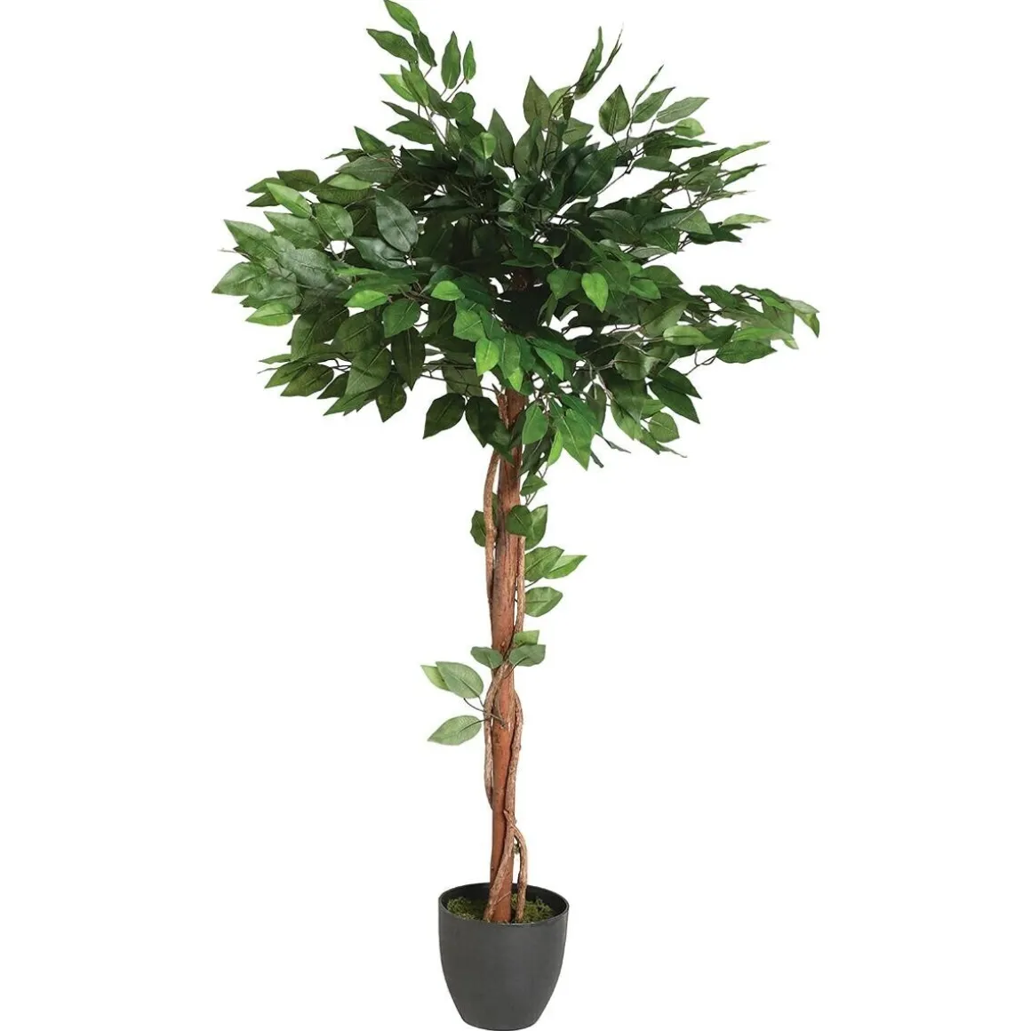 Ficus artificiel