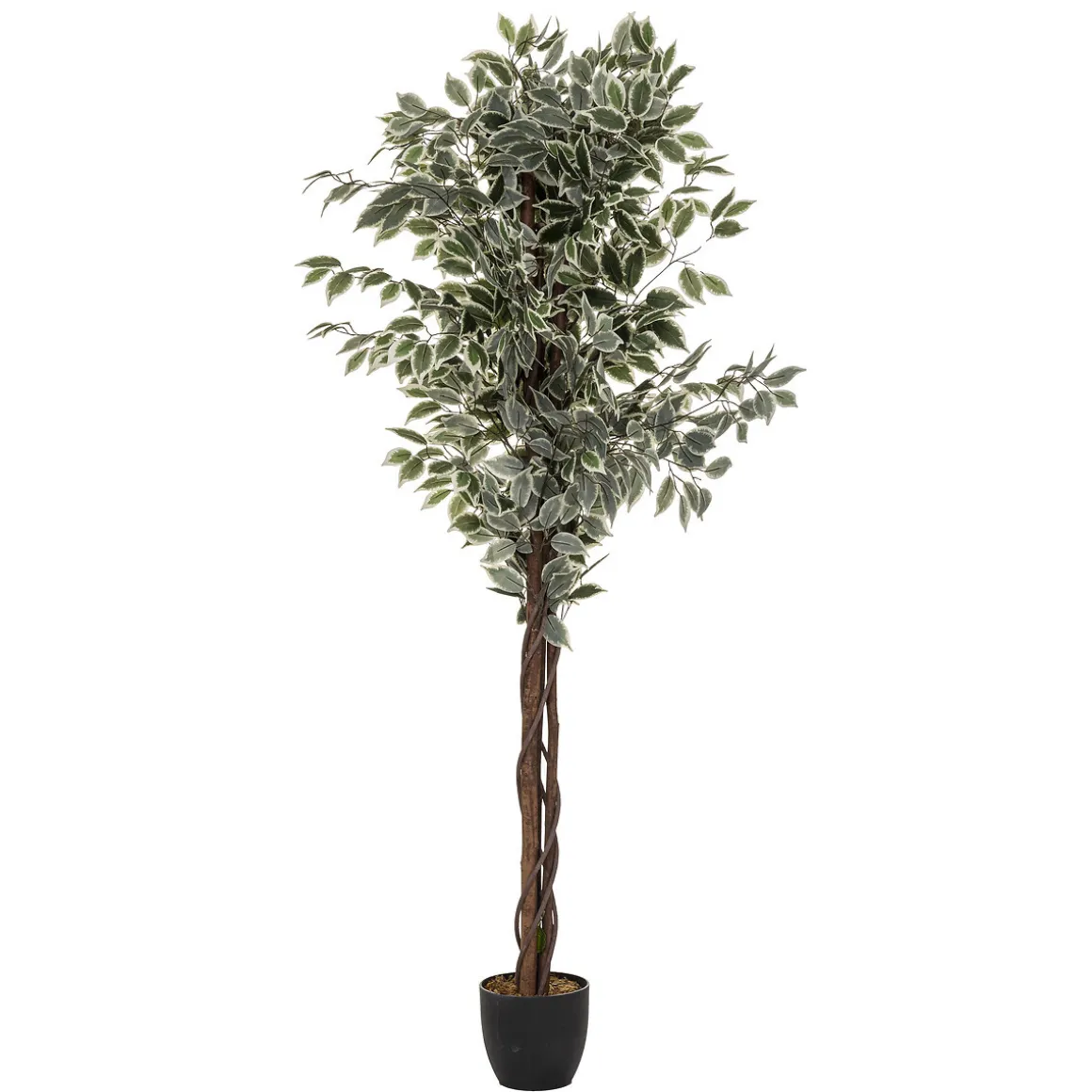 Ficus artificiel "Artifices"