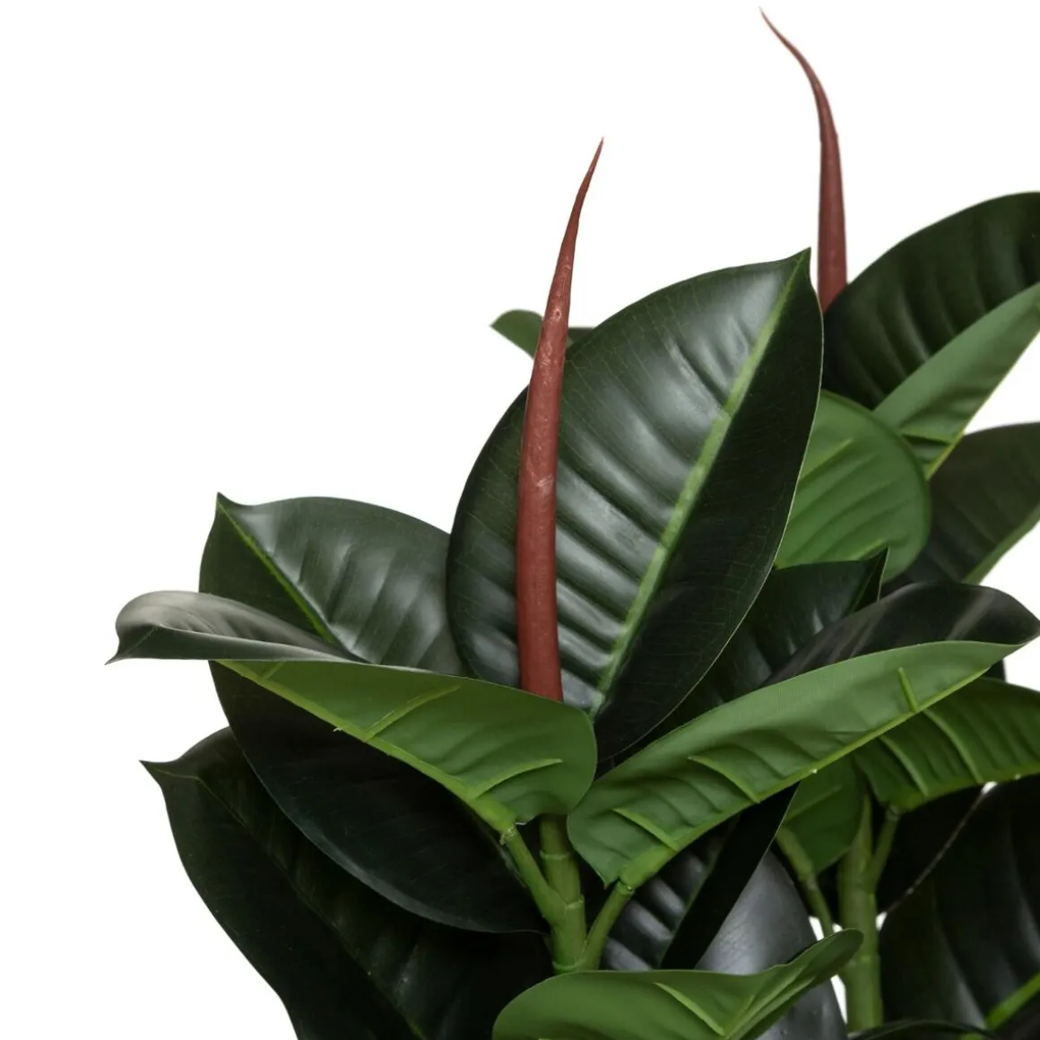 Ficus robusta artificiel H120 cm