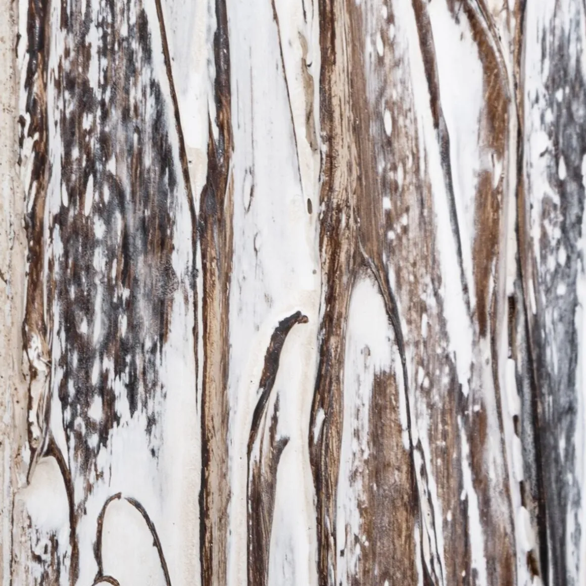 Miroir en bois à relief "Leo"