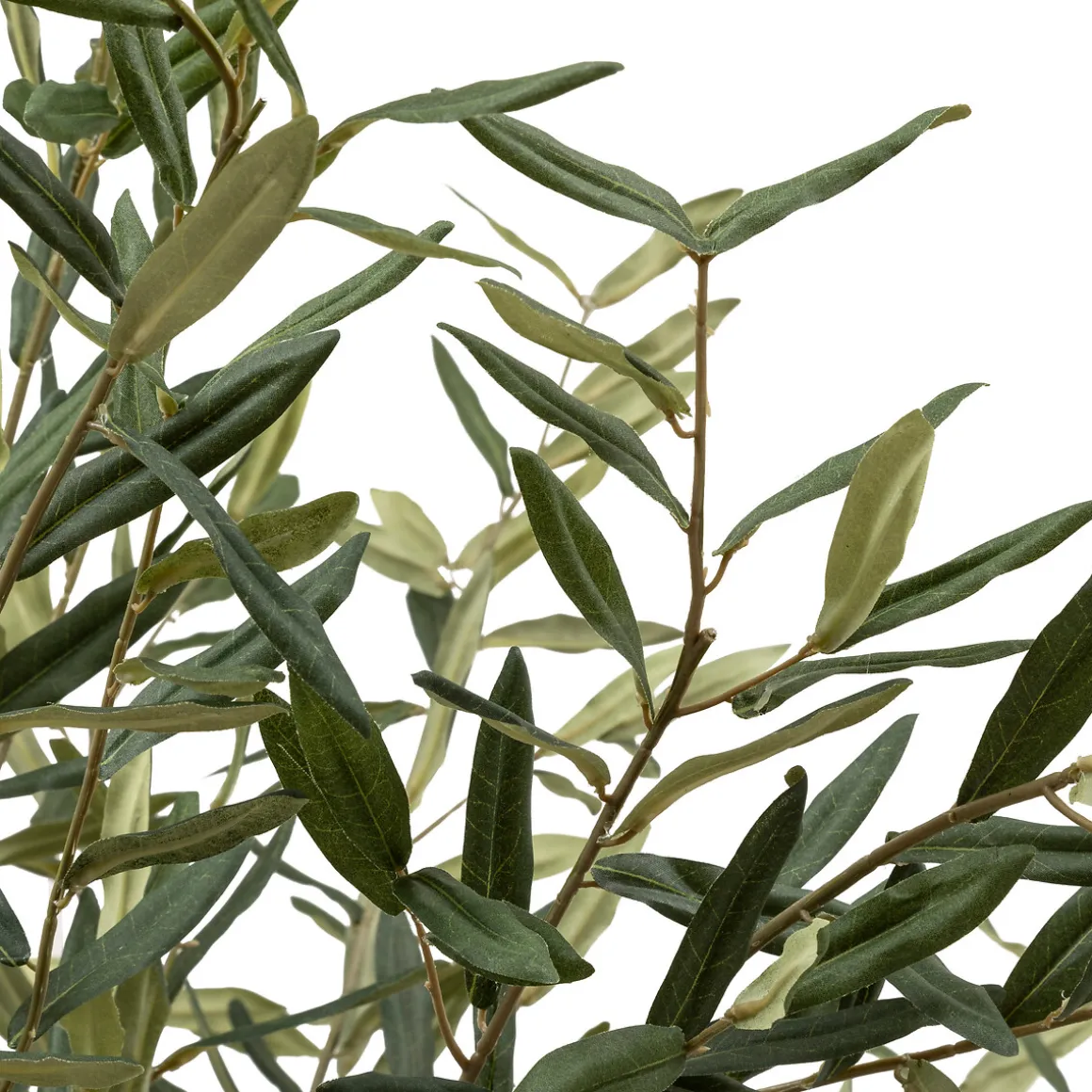 Olivier artificiel "Martin"