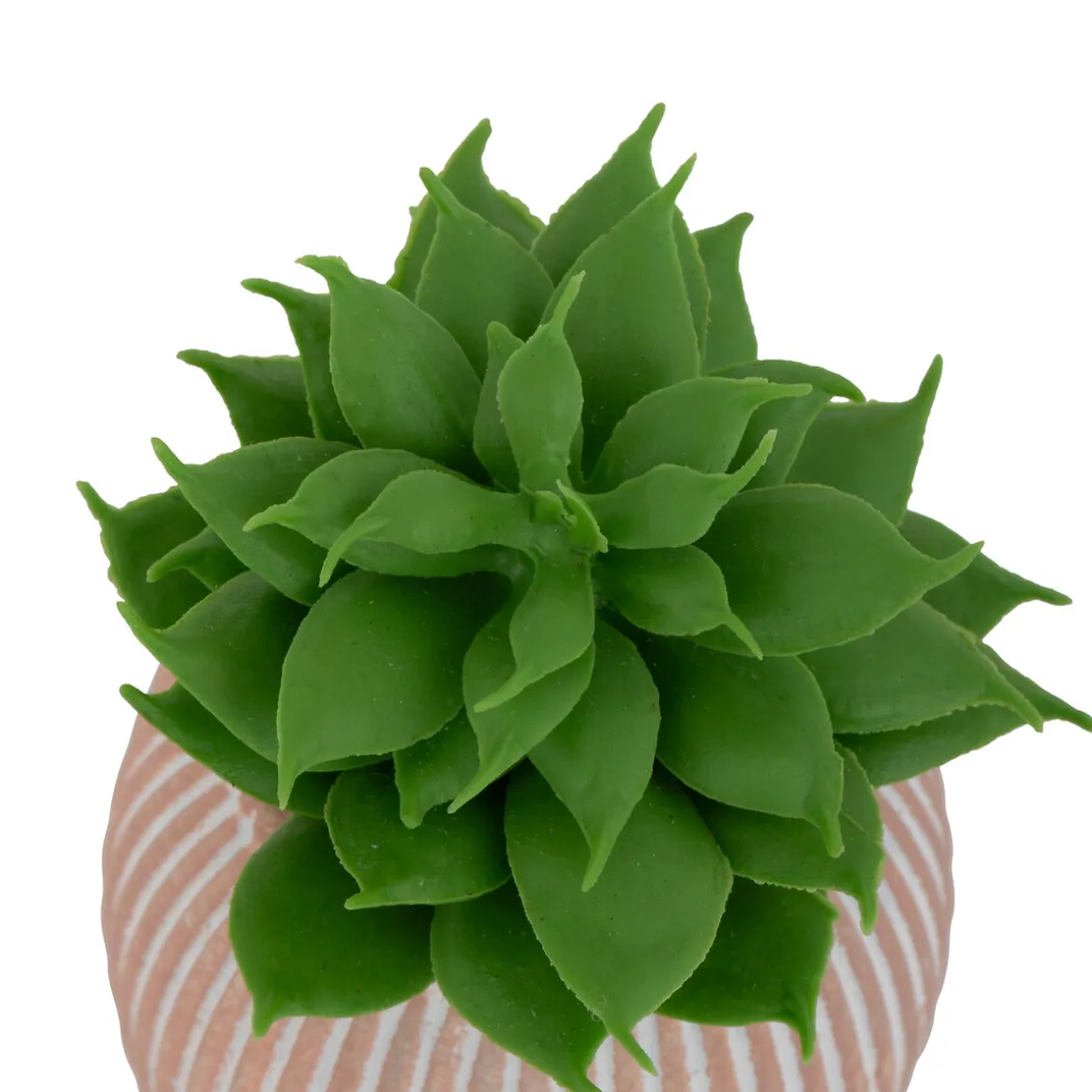 Plante artificielle petit format "Ubi"