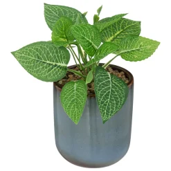 Plante artificielle, pot céramique