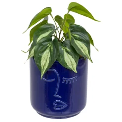 Plante artificielle "Soleya"