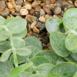 Plante artificielle suspendue