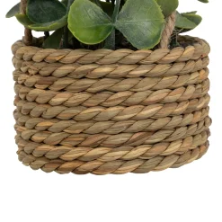 Plante artificielle suspendue