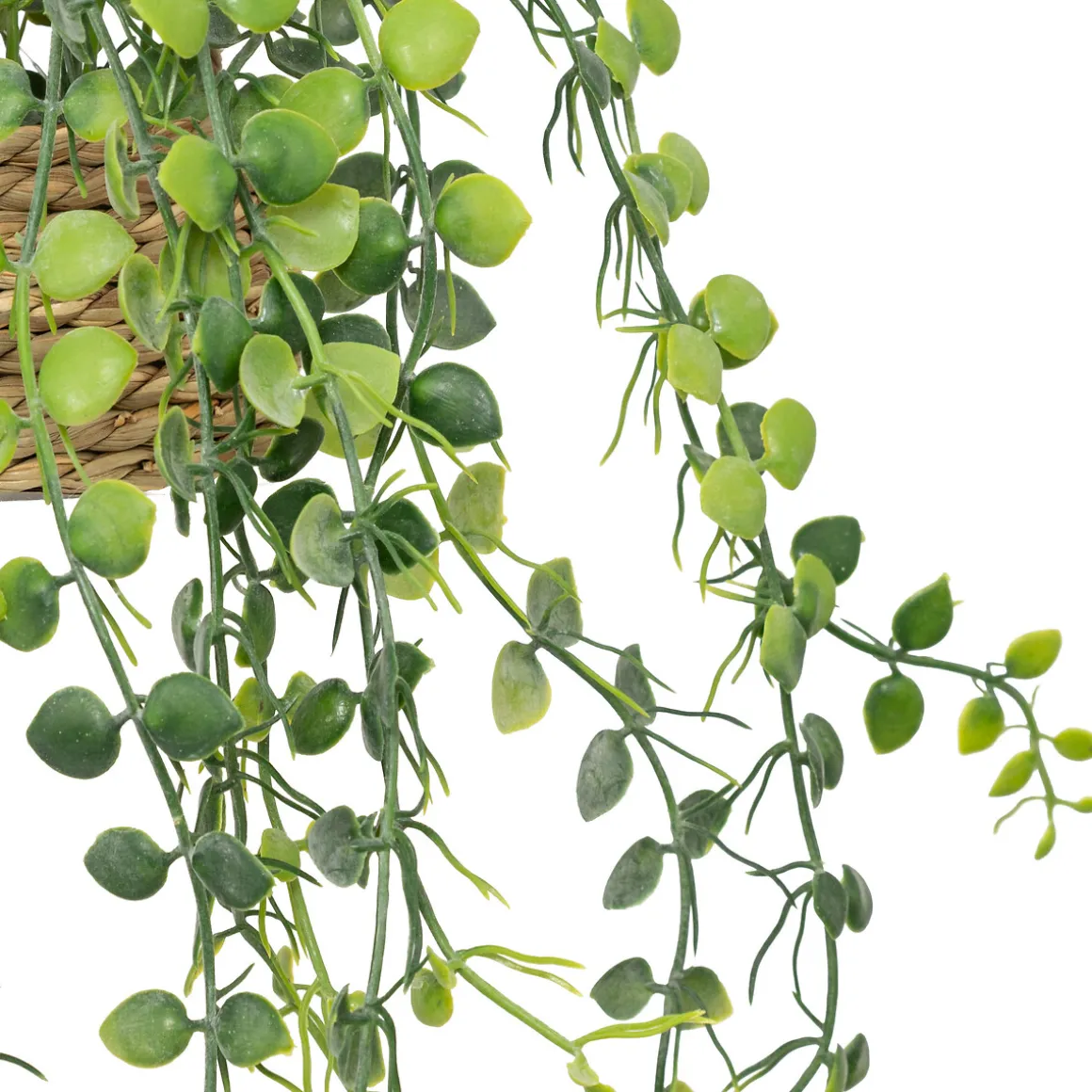 Plante artificielle suspendue "Patri"