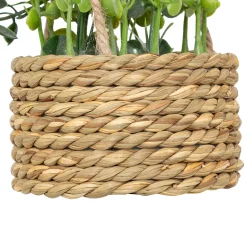 Plante artificielle suspendue