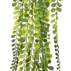 Plante artificielle tombante