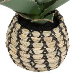 Plante Samouraï articifielle 