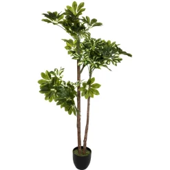 Schefflera artificiel