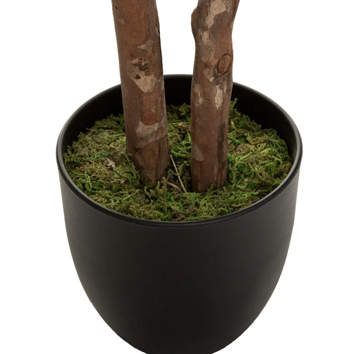 Schefflera artificiel