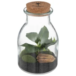 Terrarium "Bota", verre