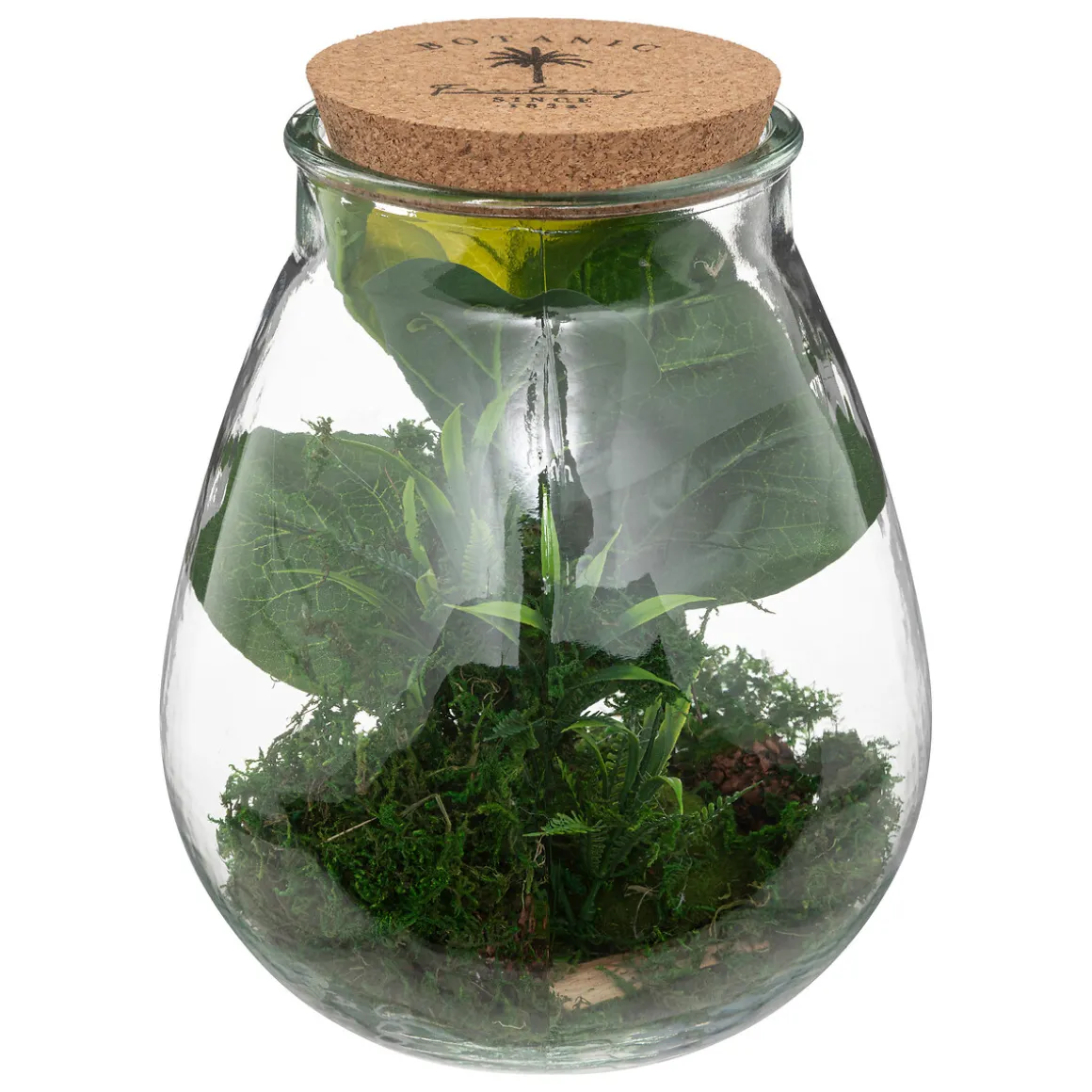 Terrarium "Bota", verre