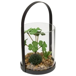 Terrarium "Wilo"