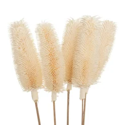 Bouquet de plantes séchées